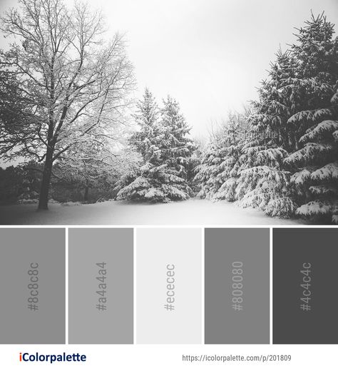 Color Palette ideas from 4803 Tree Images | iColorpalette Gray Pallete Color, Grey Pallete Color, Grey Pallet, Grey Color Pallets, Color Palette Ideas, Grey Palette, Winter Color Palette, Snow Tree, Paint Color Schemes