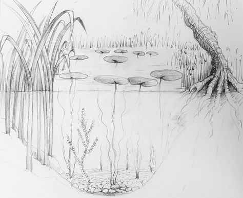 Simple Pond Drawing, How To Draw A Pond Step By Step, How To Draw A Pond, Shallow Drawing, Pond Sketch, Pond Tattoo, Jacks Tattoo, Pond Illustration, Simple Pixel Art