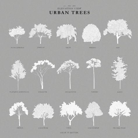 Urban Trees – Show It Better Trees In Elevation, Autocad Trees, Tree Render, Architectural Trees, Trees Top View, Architecture Drawing Presentation, Tree Outline, Urban Tree, Tree Plan