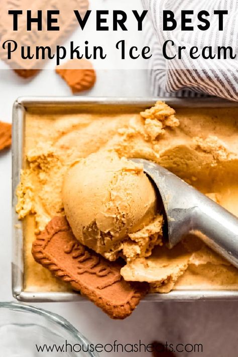 Homemade Pumpkin Ice Cream, Real Pumpkin Puree, Pumpkin Ice Cream Recipe, Pumpkin Spice Ice Cream, Pumpkin Spices, Ice Cream Recipes Machine, Pumpkin Pie Ice Cream, Pumpkin Ice Cream, Ice Cream Maker Recipes