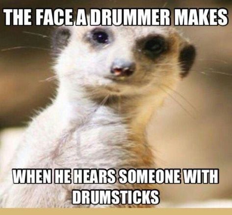 Drummer Humor, Marching Band Jokes, Marching Band Problems, Marching Band Memes, Band Problems, Music Puns, Percussion Music, Marching Band Humor, Drums Art