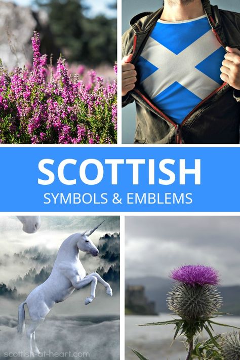 Scottish Pride, Symbols Of Scotland, Scottish Symbols Tattoo, Scottish Symbols And Meanings, All Things Scottish, Scottish Design, Scottish History, Scottish Crafts, Scottish Traditions