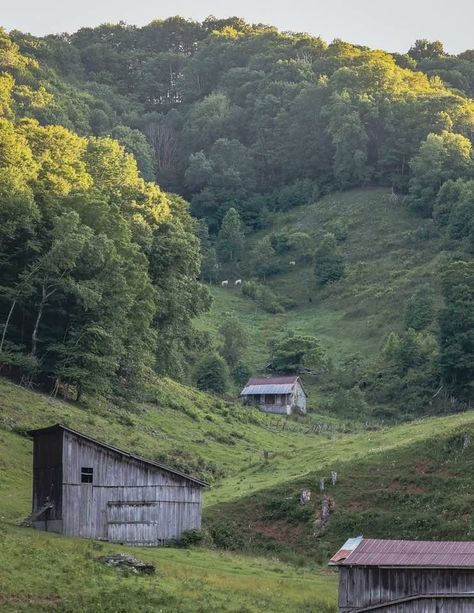 Applachia Aesthetic, Appalachia Gothic Aesthetic, Appalachian Country Aesthetic, Poor Country Aesthetic, Old Appalachia, Poor Southern Aesthetic, Old Appalachia Aesthetic, Southern Gothic Aesthetic House, Appalachian Mountains Aesthetic