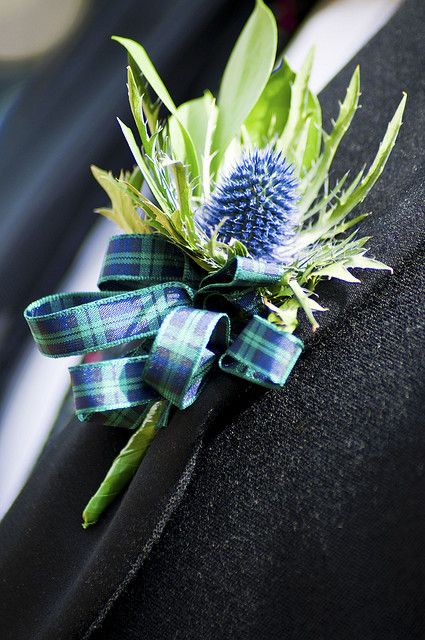 Shown to illustrate a more formal effect but using ribbon - could be done in your colours and look fantastic! Tartan Boutonniere, Scottish Dinner, Thistle Buttonhole, Scottish Wedding Themes, Thistle Boutonniere, Kilt Wedding, Gerald Butler, Scottish Flowers, Thistle Wedding