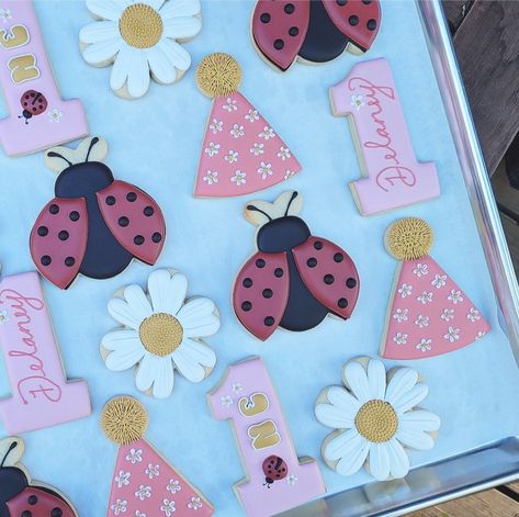 Ladybug Theme Birthday Party, Ladybug And Daisy Birthday, Love Bug Turns One, Ladybird Birthday Theme, Our Little Love Bug Is Turning One, Love Bug Birthday Theme, One Cute Bug Birthday, Ladybug 1st Birthday Party Ideas, Lady Bug First Birthday Girl