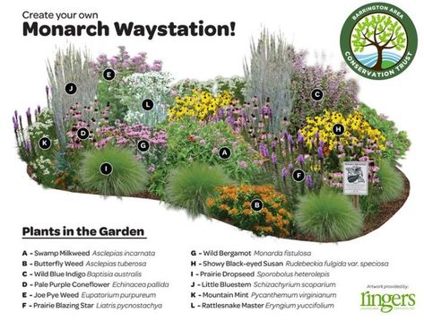 Garden Design Magazine on Instagram: “Create your own Monarch Waystation! 🦋 . Great layout from @ringerslandscaping. See more ideas for your garden in our regional gardening…” Monarch Waystation, Funny Vine, Butterfly Garden Design, Swamp Milkweed, Jardim Diy, Hummingbird Garden, Garden Wallpaper, Have Inspiration, Pollinator Garden