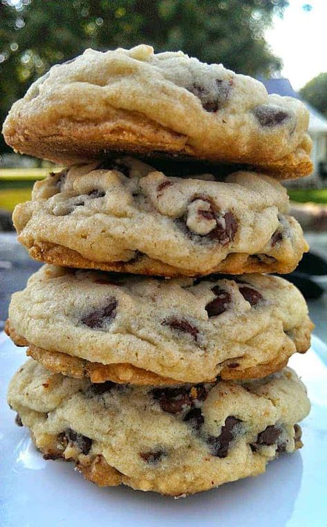 Soft Batch Chocolate Chip Cookies! Pure Nirvana! | The Baking ChocolaTess Soft Batch Chocolate Chip Cookies, Soft Batch, Best Chocolate Chip Cookies Recipe, Soft Chocolate Chip Cookies, Festive Cookies, Perfect Chocolate Chip Cookies, Lactation Cookies, Chocolate Cookie Recipes, Chocolate Chip Recipes