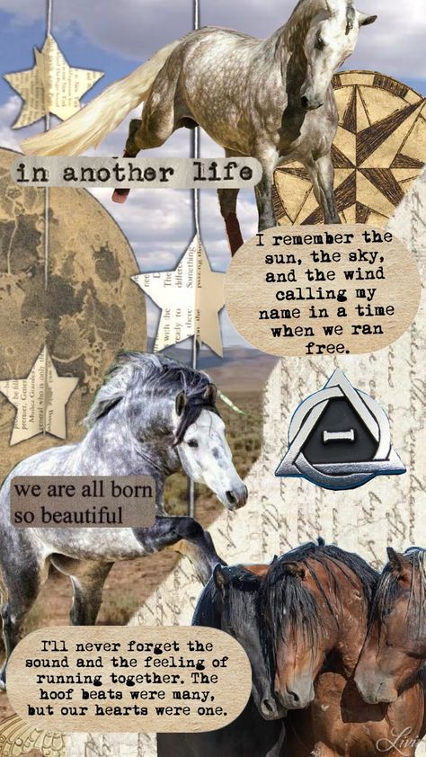 #horse #therian #therianthropy #horses Horse Therian, Black Percheron, Therian Aesthetic, Horse Collage, Noriker Horse, Therian Wallpaper, Percheron Horse, Percheron Horses, Therian Stuff