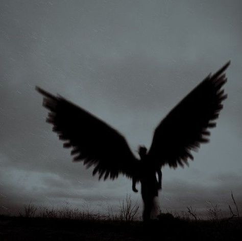 Crow Wings Aesthetic, Lucifer Aesthetic Angel, Fallen Angel Pfp, Samael Angel, Evil Wings, Phoenix Aesthetic, Fallen Angel Aesthetic, Hunt Athalar, Angel Silhouette