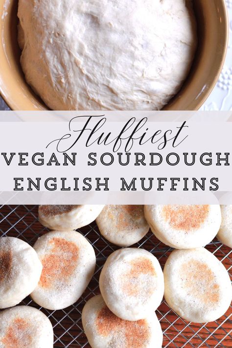 fresh baked sourdough english muffins and bowl dough Vegan Sourdough Muffins, Vegan Sourdough Recipes, Vegan Sourdough Discard Recipes, Vegan English Muffin Recipe, Vegan Sourdough Bread, Vegan English Muffins, Sourdough English Muffin Recipe, Gluten Free Sourdough Starter, Sourdough Muffins