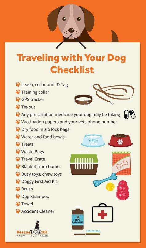 Dog Checklist, Health Checklist, Dog Health Tips, Tips For Traveling, Dog Essentials, Diet Exercise, Dog Info, Dog Care Tips, Dog Shampoo