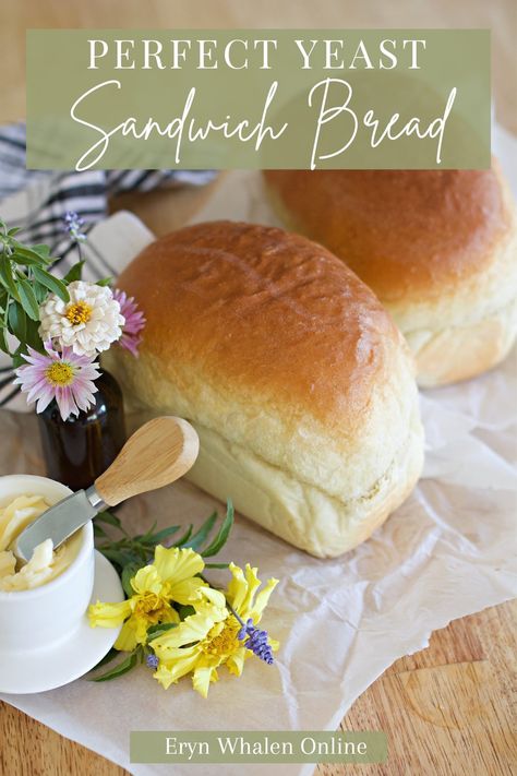 Gf Sandwich Bread Recipes, Sandwich Bread Recipe Instant Yeast, Unbleached Flour Bread Recipes, Easy Homemade Sandwich Bread, Yeast Sandwich Bread, Easy Bread Recipes For Beginners, Sandwhich Bread, Soft Bread Recipe, Making Sandwiches