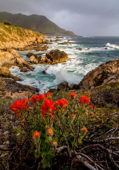 Ozone Layer, Big Sur California, California Coast, To Infinity And Beyond, California Travel, Nature Aesthetic, Big Sur, Pretty Places, Ocean Beach