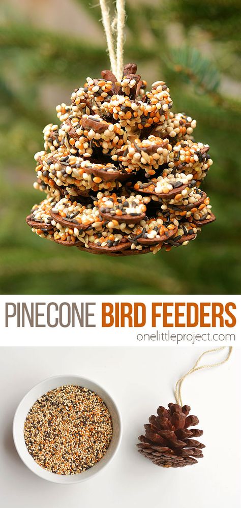 These pinecone bird feeders are SO PRETTY and they're so easy to make! With just a few simple supplies you can make one in less than 10 minutes! It's a great craft for kids, tweens, teens, adults, seniors and even in the classroom! It's so much fun to watch the birds it brings to the backyard! Pine Cone Crafts, Sustainable Cooking, Daisy Activities, Pine Cone Bird Feeder, Bird Feeder Craft, Bird Seed Ornaments, Diy Bird Feeder, Cones Crafts, Diy Birds