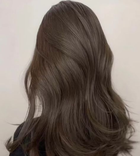 Brunnet Hair Ash, Ash Brown Full Hair Color, Dusty Dark Brown Hair, Ash Mocha Brown Hair, Mute Brown Hair Color, Mud Brown Hair, Korean Hair Brown, Ash Brown Hair Cool Tone, Cool Dark Ash Brown Hair