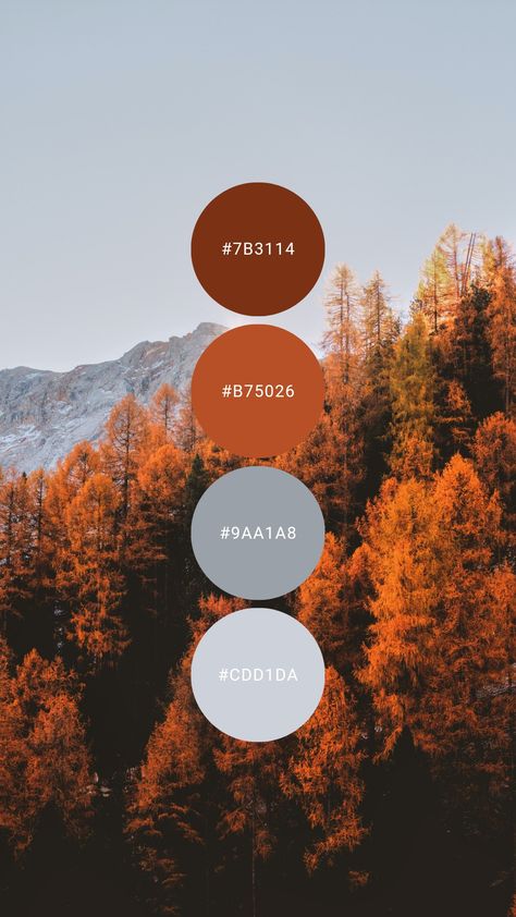 Rust Orange Colour Palette, Burn Orange Color Pallet, Grey And Rust Bedroom, Grey And Orange Bedroom Ideas, Rust And Grey Living Room, Orange And Grey Color Palette, Grey Orange Color Palette, Gray And Orange Aesthetic, Grey And Rust Bedroom Ideas