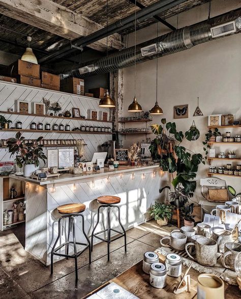 Anima Mundi Herbals, Apothecary Store Aesthetic, Modern Apothecary Aesthetic, Apothecary Cafe, Apothecary Vibes, Wellness Architecture, Wellness Vibes, Apothecary Aesthetic, Apothecary Store