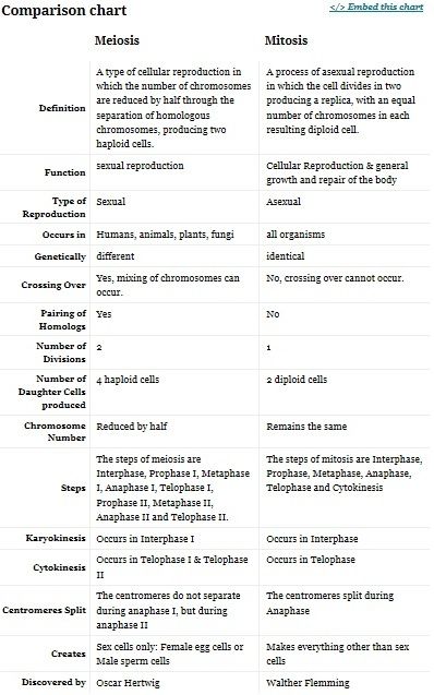 CHART!! Meiosis Vs Mitosis Meiosis Vs Mitosis, Mitosis And Meiosis Notes, Prokaryotes Vs Eukaryotes, Mitosis Worksheet, Mitosis And Meiosis, Gcse Biology, Teas Test, Biology Revision, Biology Classroom