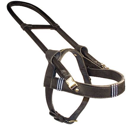 #LEATHER #WORKING #GUIDE #ASSISTANCE #DOG #HARNESS for #German #Shepherd $129.00 This #Guide #Assistance #dog #harness is #developed to #give #maximum #support for the #dog(#German #Shepherd #DOGS) and the #visually #impaired #owner. Guide Dog Harness, Ncis Sydney, German Shepherd Harness, Dog Harness Leather, Leather Dog Harness, Padded Dog Harness, Service Dogs Gear, Shepherd Dog Breeds, Dog German