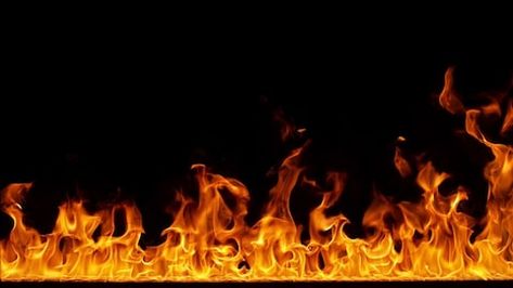 Fire Flames Igniting and Burning Stock Footage Video (100% Royalty-free) 1006669444 | Shutterstock Banner Shapes, Fire Stock, Lions Photos, Fire Flames, Fire Image, Fire Photography, Fire Video, Motion Backgrounds, Galaxy Phone Wallpaper