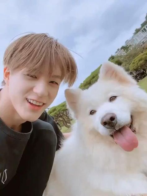 Jeno And Samoyed, Nct Dream Members, จีซอง Nct, Samoyed Dogs, Nct Album, Dream Chaser, Animal Jokes, Jena, The Boy