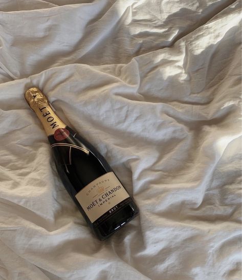 Champagne Collection, House Of Balloons, Aesthetic Luxury, Champagne Bar, Alcohol Aesthetic, Eye Of The Storm, Pretty Drinks, Instagram Feed Ideas, Champagne Bottle