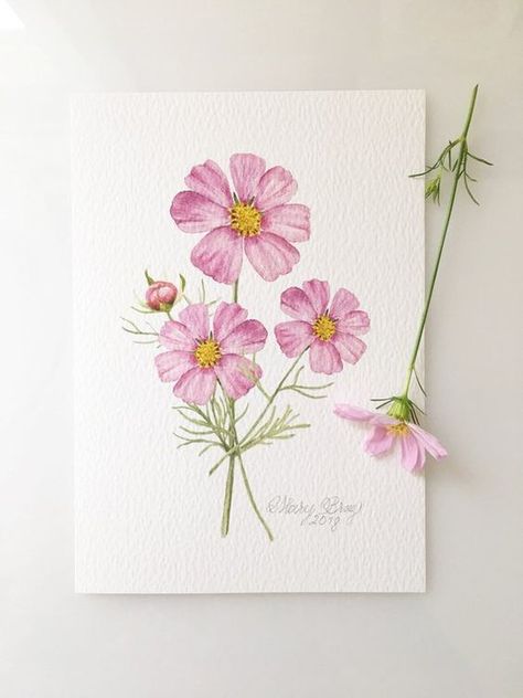 Pink+Cosmos+bipinnatus,+Botanical+Painting,+Giclee+Print+of+an+Original+Watercolor,+Delicate+Pink+Flower+in+3+sizes.