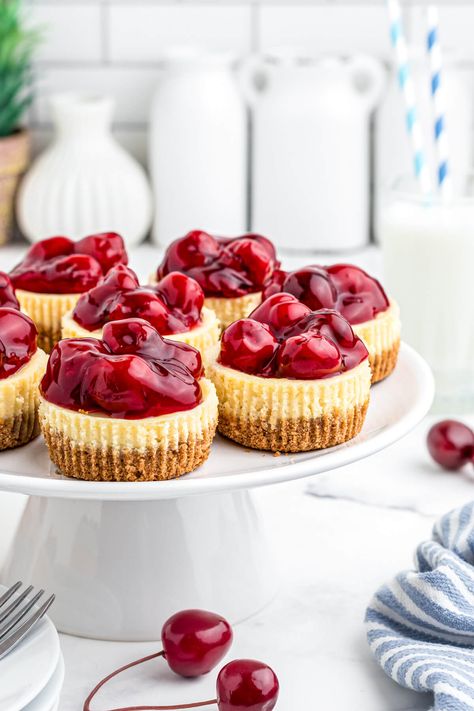 Mini Cherry Cheesecakes - Dish 'n' the Kitchen Cherry Cheescake, Mini Cheesecake Cupcakes, Graham Cracker Butter, Mini Cherry Cheesecakes, Dinner Party Desserts, Mini Cheesecake Recipes, Parfait Desserts, Christmas Baking Recipes, Single Serve Desserts