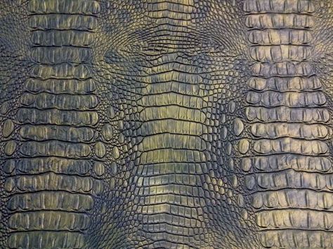 Ancient Creatures, Dragon Ideas, Reptile Skin, Alligator Print, Alligator Skin, Textile Texture, Texture Images, Animal Prints Pattern, New Shows