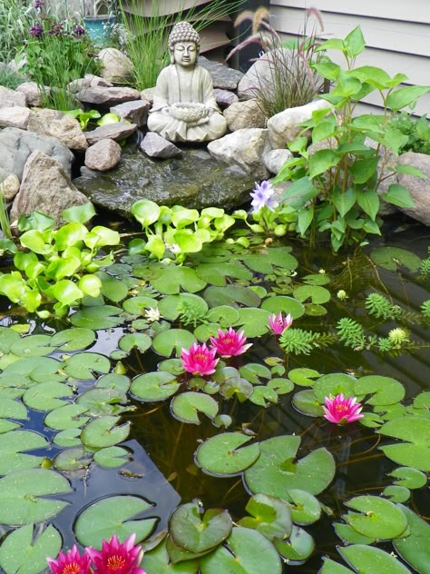 ●❥ʜᴀᴅᴀᴄᴀʀᴏʟɪɴᴀ❥● maybe I could create something like this but smaller and not "in ground" Small Water Gardens, Kolam Koi, Small Japanese Garden, Taman Air, Indoor Water Garden, Garden Pond Design, Buddha Garden, Meditation Garden, Pond Landscaping