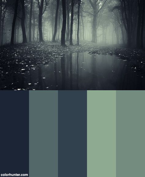 Pond In A Forest With Fog Color Scheme. Colours for "dark fantasy" theme. Dark Aesthetic Color Pallet, Forest House Color Palette, Dark Color Schemes Colour Palettes, Dark Forest Colour Palette, One Color Palette, Fantasy Aesthetic Color Palette, Dark Forest Palette, Darkness Color Palette, Spooky Color Scheme