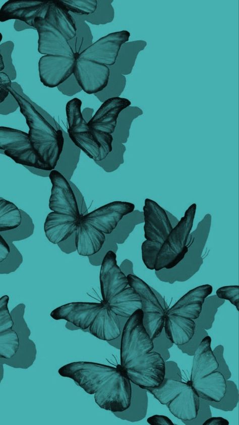 Teal Wallpaper Iphone Aesthetic, Lexy Cross, Teal Wallpaper Iphone, Aesthetic Butterfly, Teal Wallpaper, Green Butterfly, Quote Backgrounds, Butterfly Flowers, Teal Green