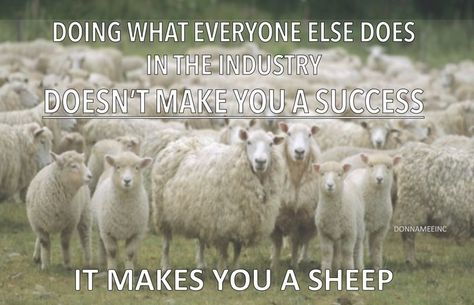 life advice, don't be a sheep, followers, leaders, doing what everyone else does not make you a success it makes you a sheep baaaaa quotes about success 100% Sheep Quotes, Sheep Quote, Run On Sentences, Quotes About Success, About Success, Counting Sheep, E Words, I Am Statements, A Sheep