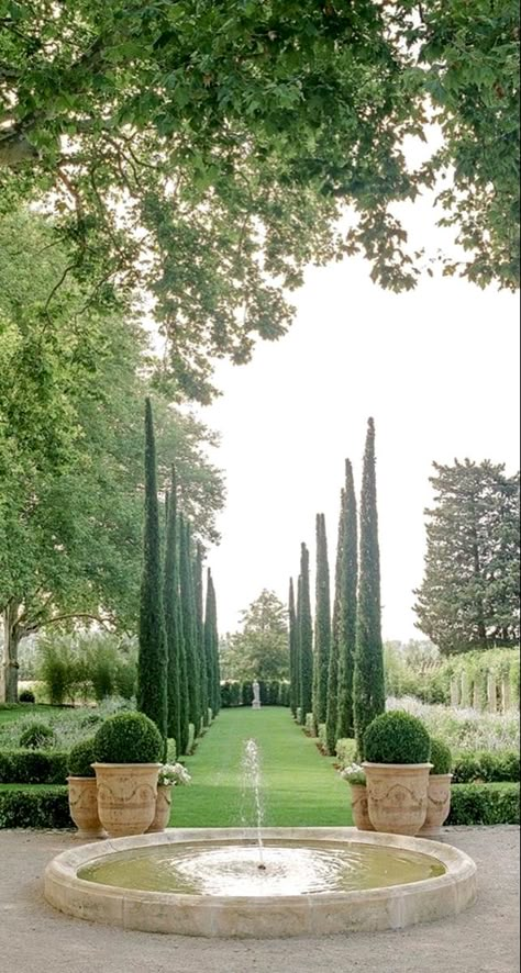 Italian Garden Design, Beautiful Garden Ideas, Avignon France, Topiary Garden, Rustic Italian, Garden Urns, Formal Garden, Italian Garden, Formal Gardens