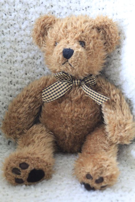 This shaggy brown Teddy Bear with his  gingham bow tie is made by Russ Berrie & Co. "Wembly" is approximately 13" tall Old Teddy Bears, Teddy Bear Pictures, Bear Tattoo, Brown Teddy Bear, Teddy Bear Picnic, Bear Theme, Vintage Teddy Bears, Bear Hug, Cute Teddy Bears