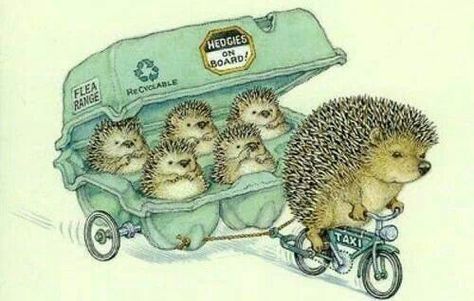 Hedgies in Board 동화 삽화, Art Mignon, Art Et Illustration, E Card, Hedgehogs, Childrens Illustrations, Pics Art, Children's Book Illustration, A Drawing