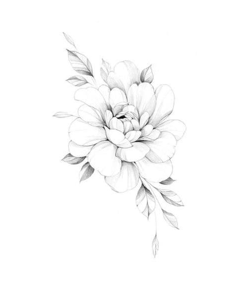 Peony Tattoo With Words, Peony Tattoo Spine, Peony Tattoo Behind Ear, Tiny Peony Tattoo Simple, Peony Vine Tattoo, Peony Birth Flower Tattoo, Peony And Daffodil Tattoo, Fineline Peony Tattoo, Small Peony Tattoo Simple