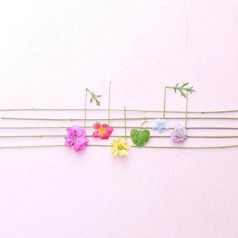 Wallpapers Rosa, Flower Petal Art, Music Flower, Petal Art, Moon Pictures, Pressed Flower Art, Fb Covers, Choose Joy, Musical Notes