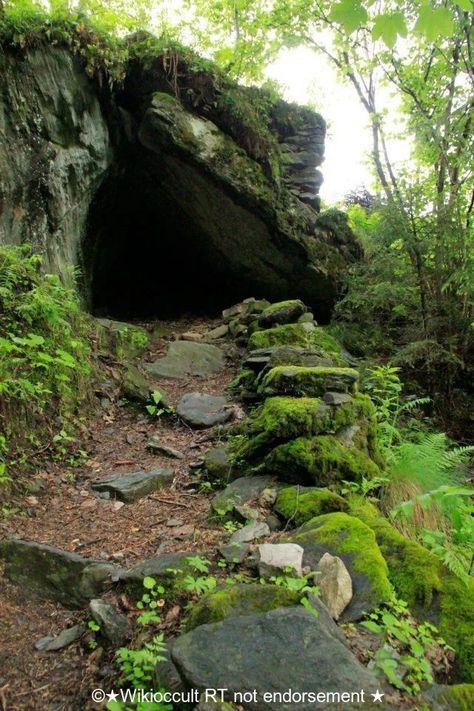 Step into the magickal cave if you dare #abandoned #abandonedspaces #building #rtitbot #robloxdev #art #rtArtBoost #RYUJIN #urbexphotography #grimelords #urbex Forest Cave, Gnome Village, Cave Entrance, Fantasy Forest, Warrior Cat, Ancient Ruins, Environment Concept Art, Warrior Cats, Nature Aesthetic