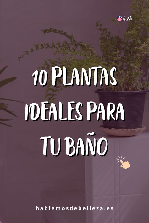 10 Plantas Ideales Para Tu Baño: Tu Guía De Botánica Casera Nature, Plants, Ideas Para Baños Pequeños, Woodworking Videos, Outdoor Shower, Wooden Diy, Step By Step, House Interior