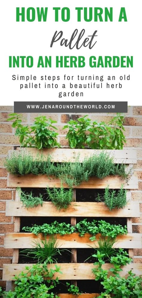 How to Turn a Pallet into an Herb Garden - Jen Around the World Cerca Natural, Herbs Growing, Herb Garden Pallet, Pallet Projects Garden, Bathroom Organizers, Diy Herb Garden, Vertical Herb Garden, Plants Growing, Herb Planters