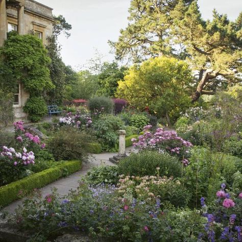 Tattoo Plant, Herbaceous Border, Italian Garden, Old Rose, House Garden, Trees And Shrubs, Water Garden, Clematis, Garden Wall