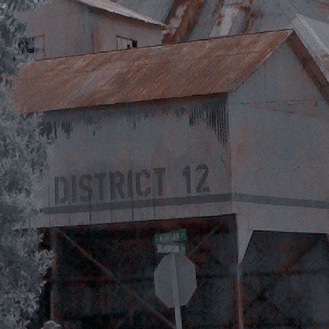 The Hunger Games Aesthetic The Hunger Games Aesthetic, Hunger Games District 12, Hunger Games Aesthetic, Hunger Games Book, Hunger Games Districts, Hunger Games Wallpaper, Dystopian Aesthetic, Hunger Games Characters, Games Aesthetic