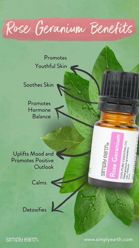 🌿✨ NEW OIL ALERT! ✨🌿  Meet your new mood booster and skin care hero: **Rose Geranium Essential Oil**! 🌺   Used for centuries in South Africa, this luxurious oil is known for its powerful skin benefits and soothing properties.  Enjoy the pure essence of Rose Geranium without any chemical additives. Hand-harvested and pesticide-free, we bring you the best nature has to offer! 💖 💖 💖   #NaturalBeauty #EssentialOils #RoseGeranium #SimplyEarth Simply Earth, Rose Geranium Essential Oil, Essential Oil Education, Natural Recipes, Clary Sage Essential Oil, Sage Essential Oil, Best Nature, Geranium Oil, Essential Oil Benefits