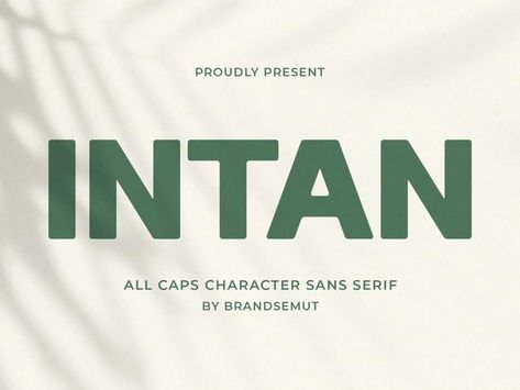 Round Sans Serif Fonts, Bold San Serif Font, Humanist Font, Graphic Moodboard, Classic Sans Serif Fonts, Personal Logo Inspiration, Typography Magazine, Popular Sans Serif Fonts, Sans Serif Typography