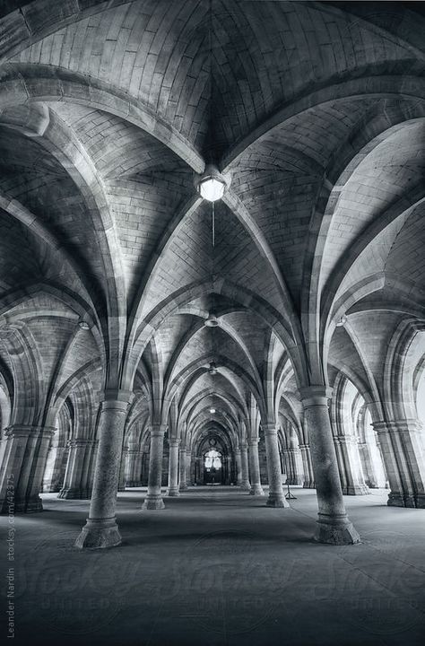 Gothic Cathedral Interior, Gothic Crypt, Gothic Ceiling, Gothic Architecture Interior, Arch Photography, Neo Gothic Architecture, Gothic Painting, Gothic Arches, Gothic Academia