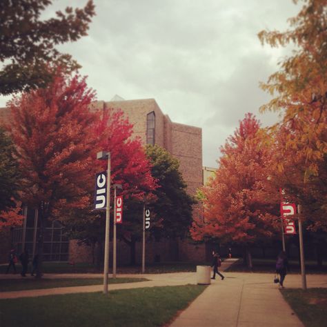 Shower with Oxygenics at The University of Illinois at Chicago University Of Illinois Chicago, Uic Chicago Aesthetic, Uic Campus, Uic Chicago, Autumn Academia, Campus Aesthetic, University Of Illinois At Chicago, Chicago Signs, Vision Board Pics