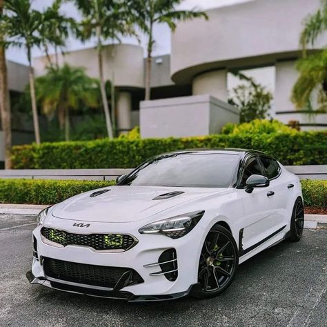 Kia Stinger Gt Modified, Kia Stinger Modified, Kia Gt K5, Kia K5 Modified, Kia K5 Gt Line, Stinger Kia, Kia Stinger Gt, Kia K5, Camaro Car