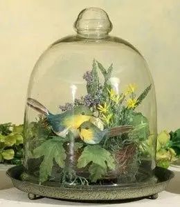 Easter Cloche Ideas, Verdigris Color, Glass Cloche Decor, Pretty Jars, Cloche Ideas, Jars Decor, Cloche Decor, Bell Jars, Glass Dome Cloche