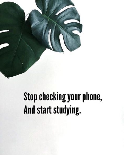 Stop checking your phone, And start studying 💕 School Motivation Wallpaper, Stop Checking Your Phone, School Motivation Quotes, Study Hard Quotes, Study Inspiration Quotes, Start Studying, Motivation Wallpaper, Exam Quotes, Exam Motivation